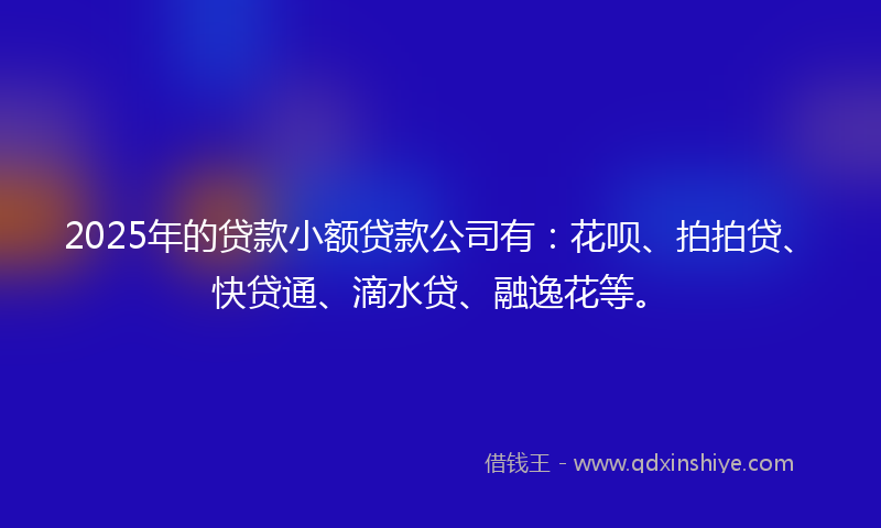 2025年的贷款小额贷款公司有：花呗、拍拍贷、快贷通、滴水贷、融逸花等。