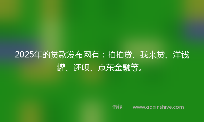 2025年的贷款发布网有：拍拍贷、我来贷、洋钱罐、还呗、京东金融等。