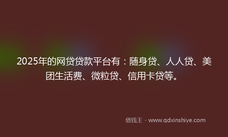 2025年的网贷贷款平台有：随身贷、人人贷、美团生活费、微粒贷、信用卡贷等。