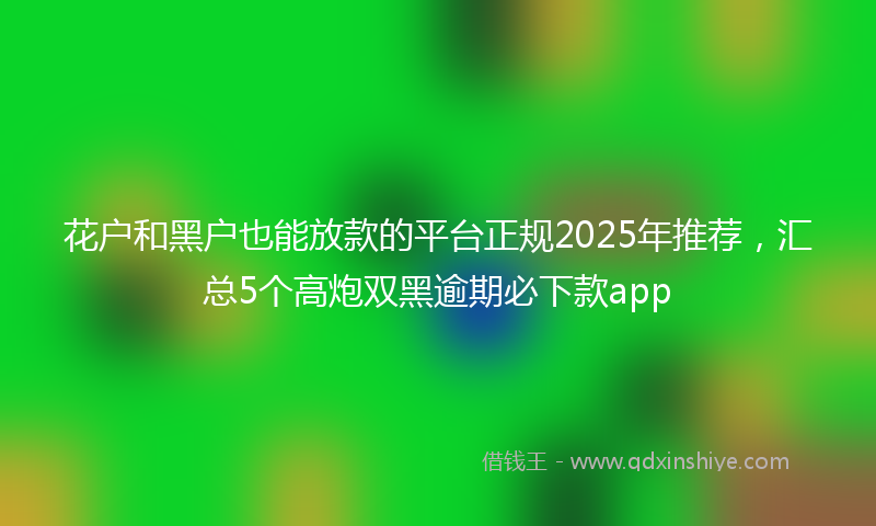 花户和黑户也能放款的平台正规2025年推荐，汇总5个高炮双黑逾期必下款app