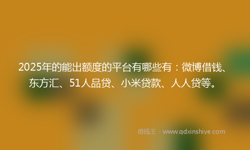 2025年的能出额度的平台有哪些有：微博借钱、东方汇、51人品贷、小米贷款、人人贷等。