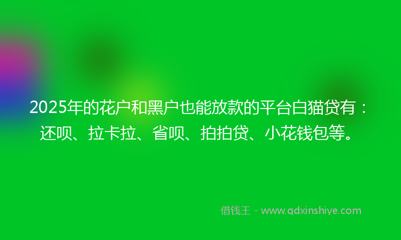 2025年的花户和黑户也能放款的平台白猫贷有：还呗、拉卡拉、省呗、拍拍贷、小花钱包等。