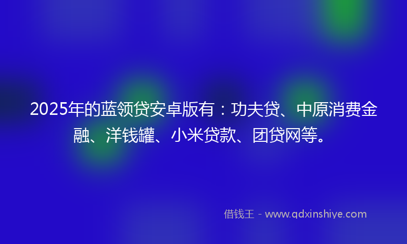 2025年的蓝领贷安卓版有：功夫贷、中原消费金融、洋钱罐、小米贷款、团贷网等。