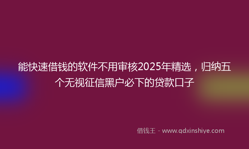 能快速借钱的软件不用审核2025年精选，归纳五个无视征信黑户必下的贷款口子