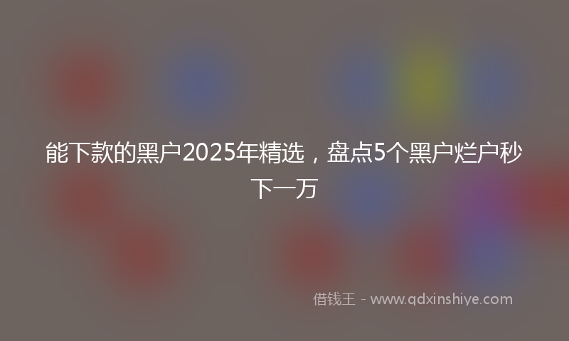 能下款的黑户2025年精选，盘点5个黑户烂户秒下一万