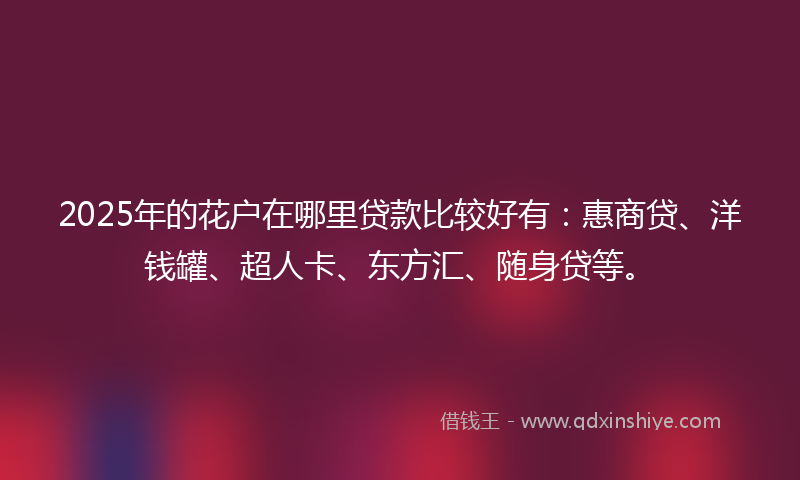 2025年的花户在哪里贷款比较好有：惠商贷、洋钱罐、超人卡、东方汇、随身贷等。