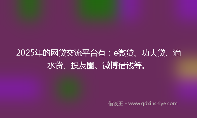 2025年的网贷交流平台有：e微贷、功夫贷、滴水贷、投友圈、微博借钱等。
