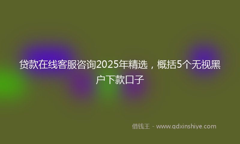 贷款在线客服咨询2025年精选，概括5个无视黑户下款口子