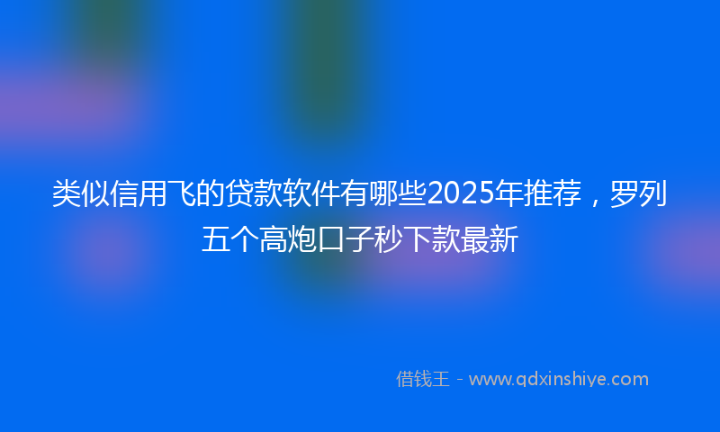 类似信用飞的贷款软件有哪些2025年推荐，罗列五个高炮口子秒下款最新