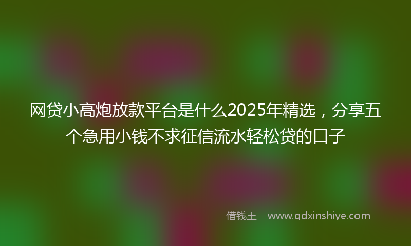 网贷小高炮放款平台是什么2025年精选，分享五个急用小钱不求征信流水轻松贷的口子