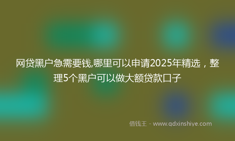 网贷黑户急需要钱,哪里可以申请2025年精选，整理5个黑户可以做大额贷款口子