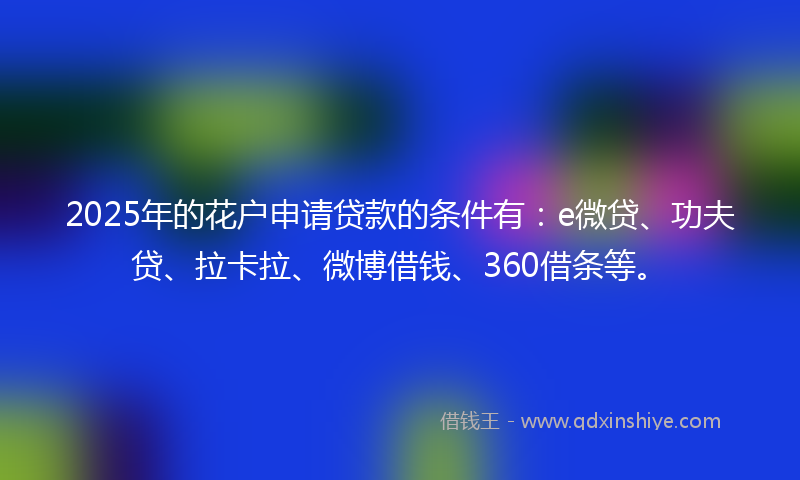 2025年的花户申请贷款的条件有：e微贷、功夫贷、拉卡拉、微博借钱、360借条等。