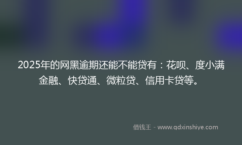 2025年的网黑逾期还能不能贷有：花呗、度小满金融、快贷通、微粒贷、信用卡贷等。