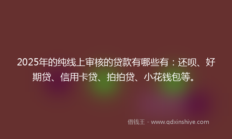 2025年的纯线上审核的贷款有哪些有：还呗、好期贷、信用卡贷、拍拍贷、小花钱包等。