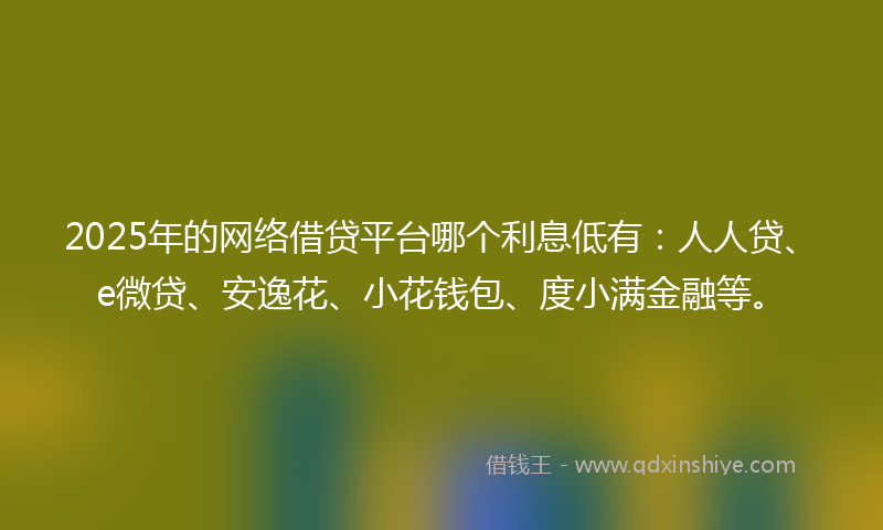 2025年的网络借贷平台哪个利息低有：人人贷、e微贷、安逸花、小花钱包、度小满金融等。