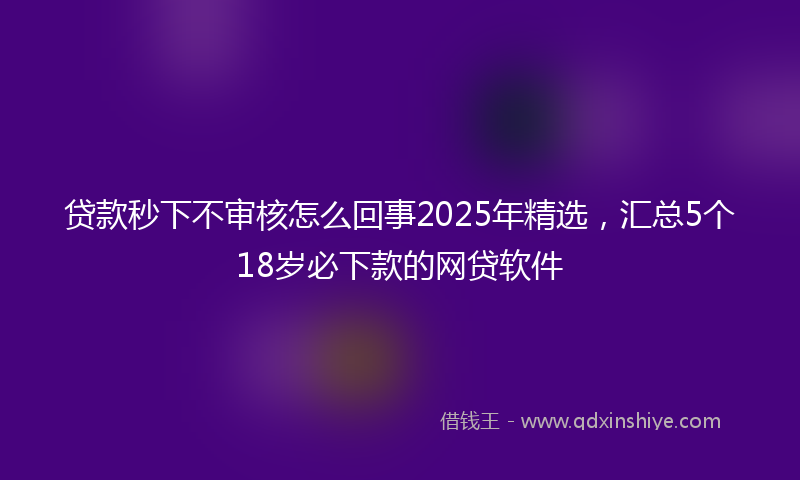 贷款秒下不审核怎么回事2025年精选，汇总5个18岁必下款的网贷软件