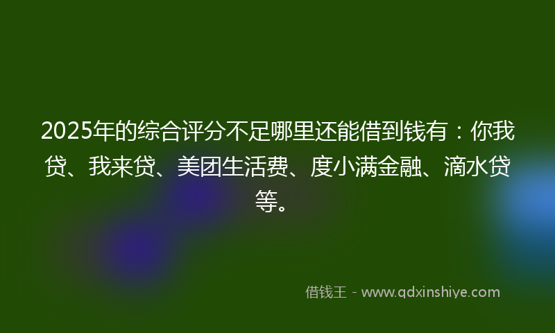 2025年的综合评分不足哪里还能借到钱有：你我贷、我来贷、美团生活费、度小满金融、滴水贷等。