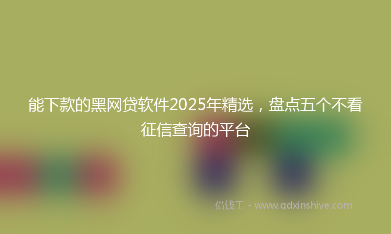 能下款的黑网贷软件2025年精选，盘点五个不看征信查询的平台