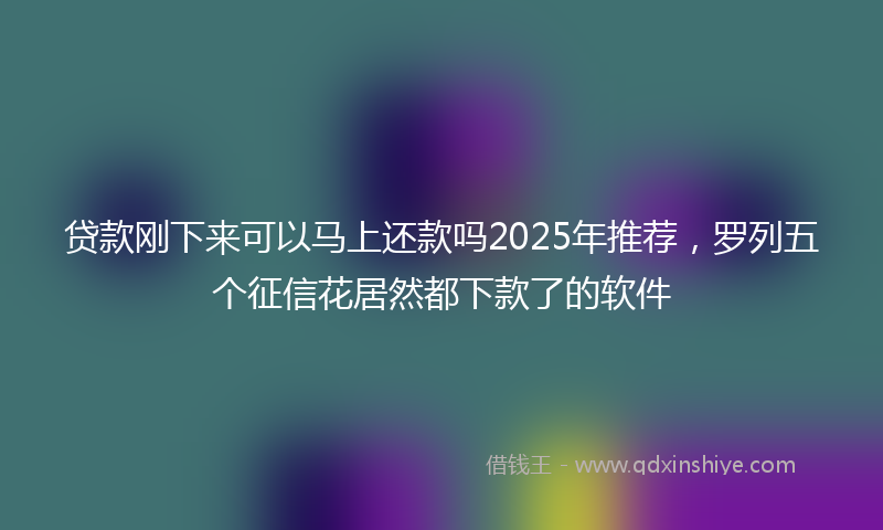 贷款刚下来可以马上还款吗2025年推荐，罗列五个征信花居然都下款了的软件