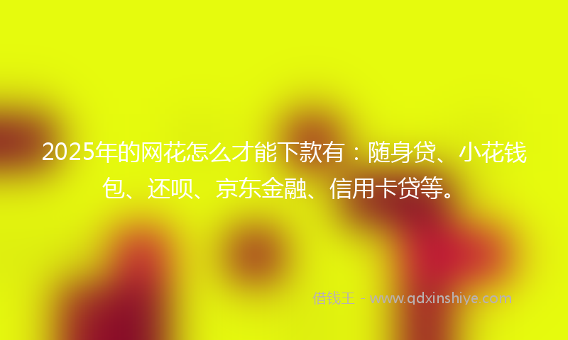 2025年的网花怎么才能下款有：随身贷、小花钱包、还呗、京东金融、信用卡贷等。