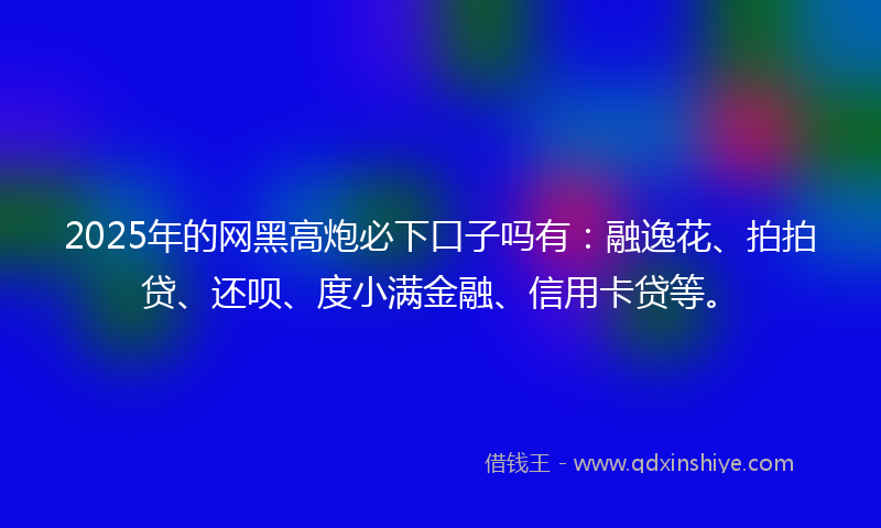 2025年的网黑高炮必下口子吗有：融逸花、拍拍贷、还呗、度小满金融、信用卡贷等。