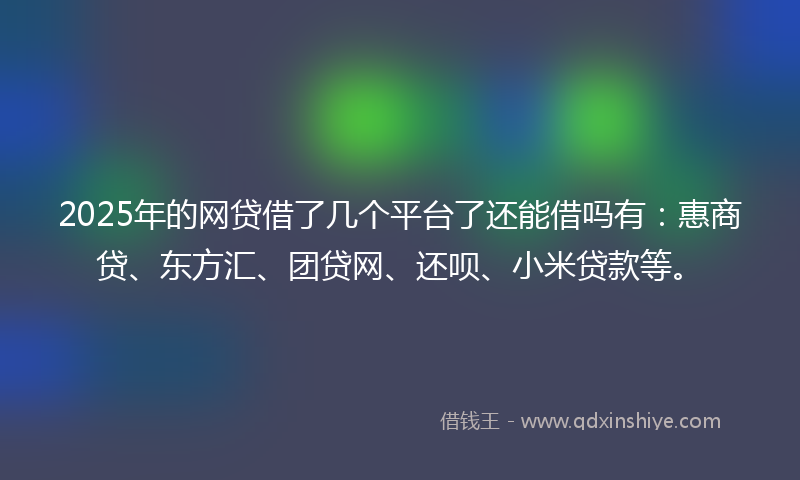 2025年的网贷借了几个平台了还能借吗有：惠商贷、东方汇、团贷网、还呗、小米贷款等。