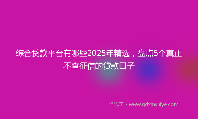 综合贷款平台有哪些2025年精选，盘点5个真正不查征信的贷款口子