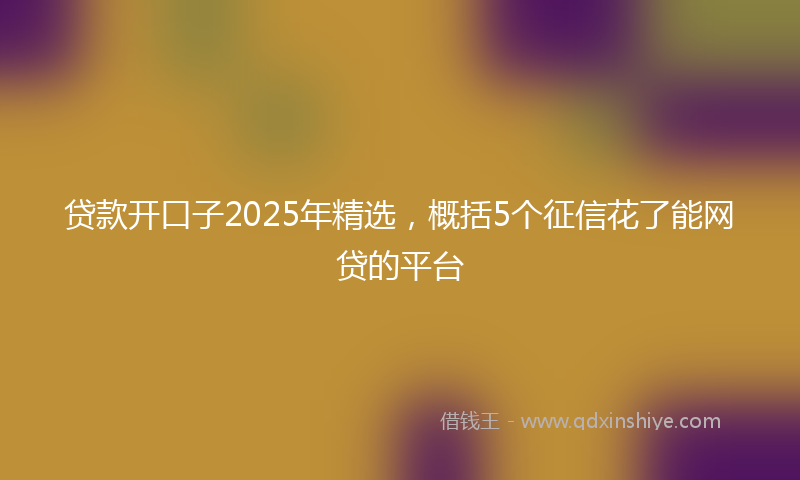 贷款开口子2025年精选，概括5个征信花了能网贷的平台