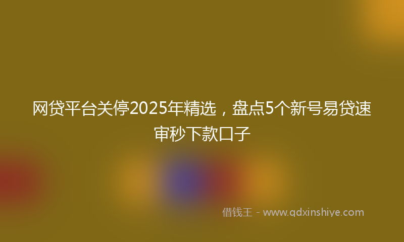 网贷平台关停2025年精选，盘点5个新号易贷速审秒下款口子