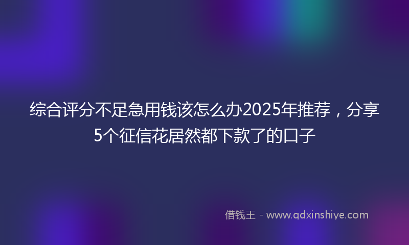 综合评分不足急用钱该怎么办2025年推荐，分享5个征信花居然都下款了的口子