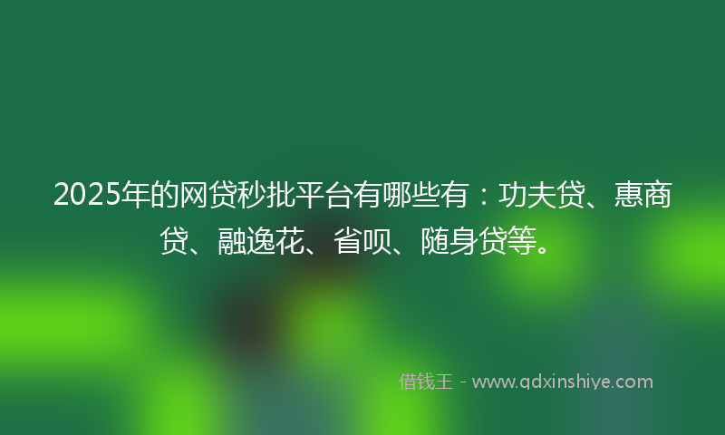 2025年的网贷秒批平台有哪些有：功夫贷、惠商贷、融逸花、省呗、随身贷等。