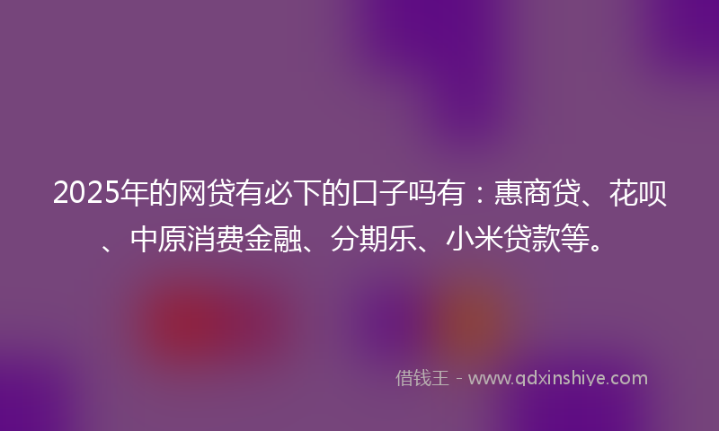 2025年的网贷有必下的口子吗有：惠商贷、花呗、中原消费金融、分期乐、小米贷款等。