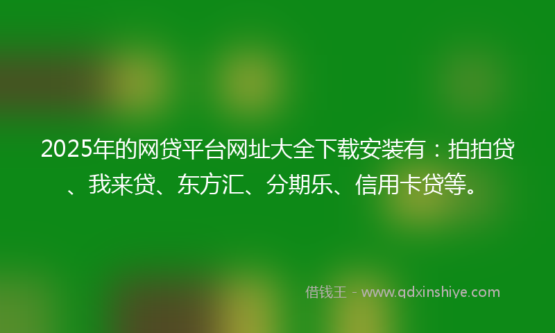 2025年的网贷平台网址大全下载安装有：拍拍贷、我来贷、东方汇、分期乐、信用卡贷等。