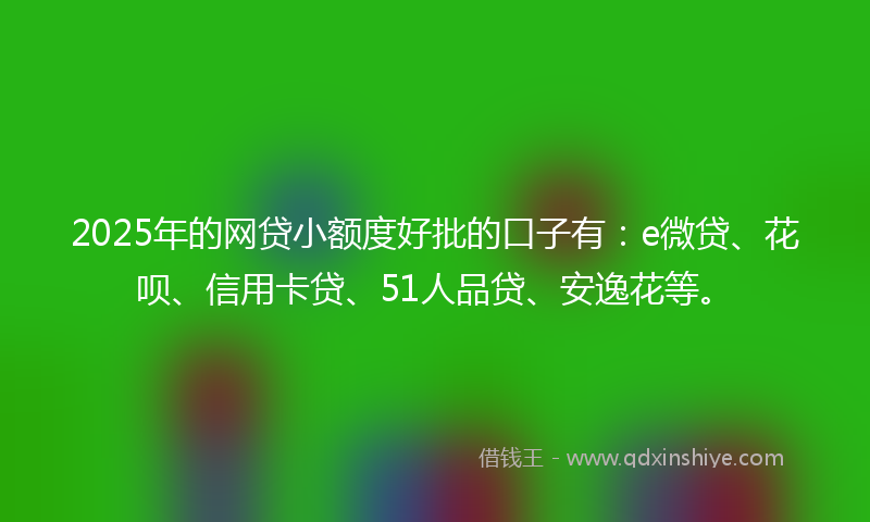 2025年的网贷小额度好批的口子有：e微贷、花呗、信用卡贷、51人品贷、安逸花等。