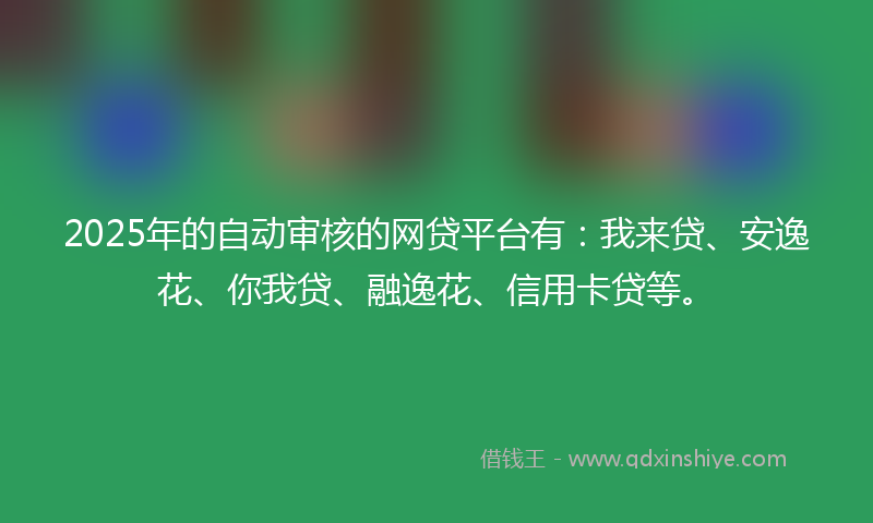 2025年的自动审核的网贷平台有：我来贷、安逸花、你我贷、融逸花、信用卡贷等。