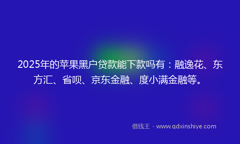 2025年的苹果黑户贷款能下款吗有：融逸花、东方汇、省呗、京东金融、度小满金融等。