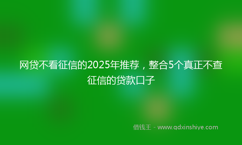 网贷不看征信的2025年推荐，整合5个真正不查征信的贷款口子