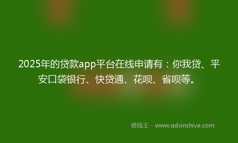2025年的贷款app平台在线申请有：你我贷、平安口袋银行、快贷通、花呗、省呗等。