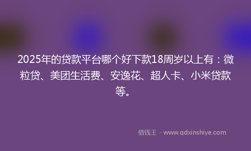 2025年的贷款平台哪个好下款18周岁以上有：微粒贷、美团生活费、安逸花、超人卡、小米贷款等。