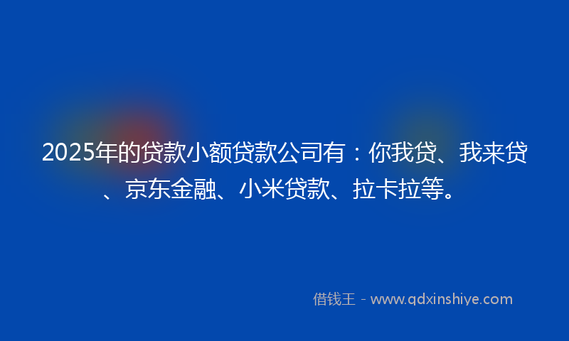 2025年的贷款小额贷款公司有：你我贷、我来贷、京东金融、小米贷款、拉卡拉等。
