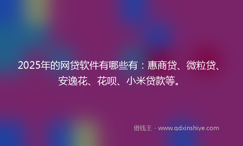 2025年的网贷软件有哪些有：惠商贷、微粒贷、安逸花、花呗、小米贷款等。