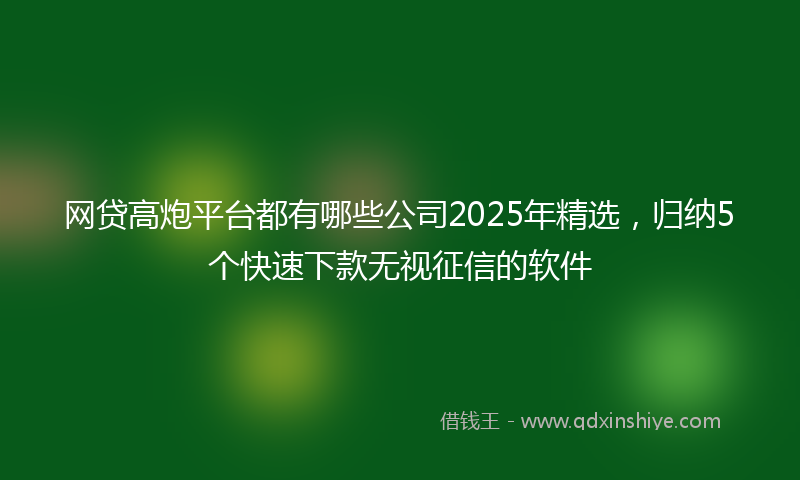 网贷高炮平台都有哪些公司2025年精选，归纳5个快速下款无视征信的软件