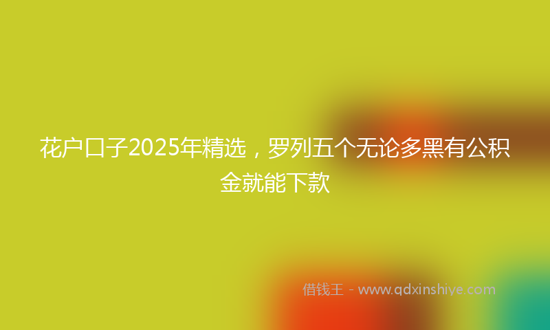 花户口子2025年精选，罗列五个无论多黑有公积金就能下款