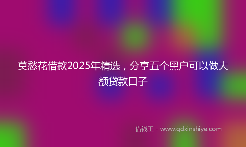 莫愁花借款2025年精选，分享五个黑户可以做大额贷款口子