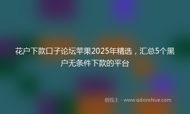 花户下款口子论坛苹果2025年精选，汇总5个黑户无条件下款的平台