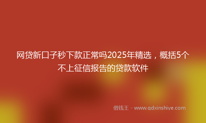 网贷新口子秒下款正常吗2025年精选，概括5个不上征信报告的贷款软件