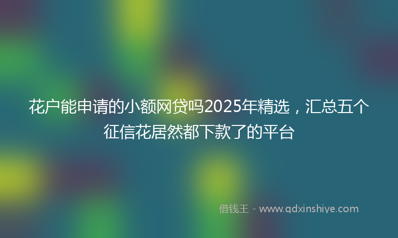 花户能申请的小额网贷吗2025年精选，汇总五个征信花居然都下款了的平台