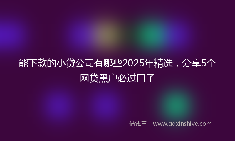 能下款的小贷公司有哪些2025年精选，分享5个网贷黑户必过口子