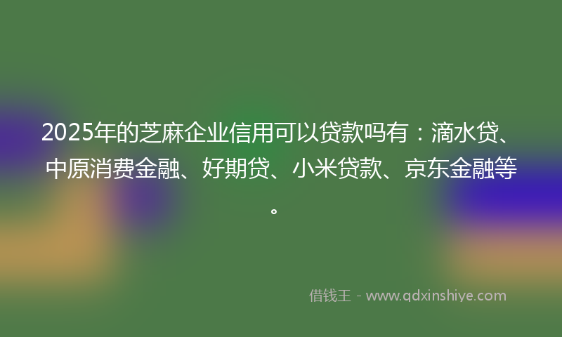 2025年的芝麻企业信用可以贷款吗有：滴水贷、中原消费金融、好期贷、小米贷款、京东金融等。