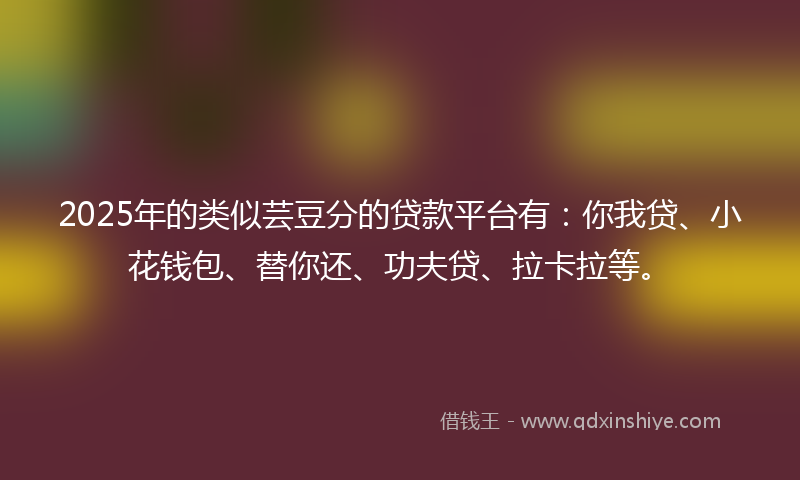 2025年的类似芸豆分的贷款平台有：你我贷、小花钱包、替你还、功夫贷、拉卡拉等。